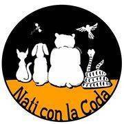 Immagine: Associazione Nati con la Coda Verbania