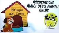 Immagine:  Rifugio del cane  Associazione Amici degli Animali ODV