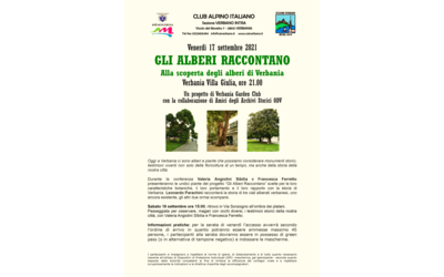 Immagine: Alberi raccontano def