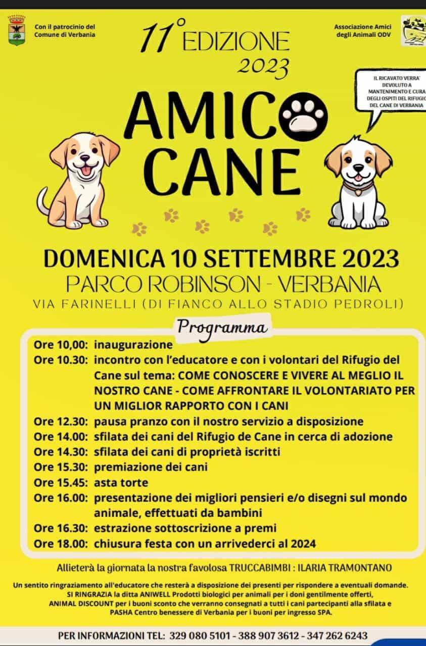 Immagine: Amico cane 10 09 2023