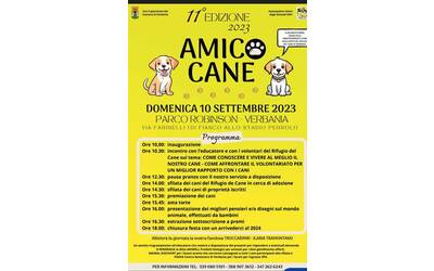 Immagine: Amico cane 10 09 2023