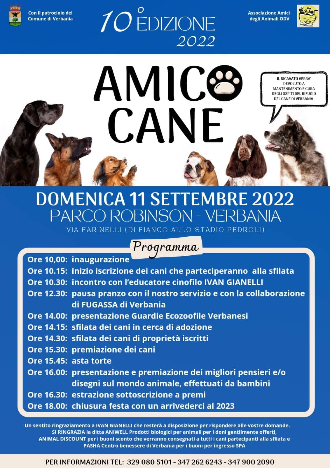 Immagine: Amico cane 11 09 22