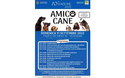 Immagine: Amico cane 11 09 22
