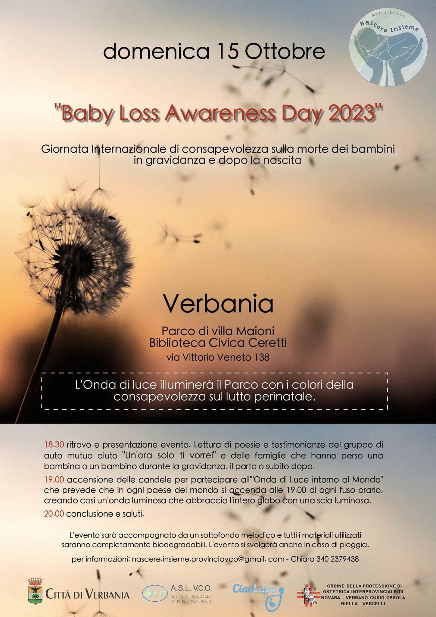 Immagine: Baby Loss Awareness Day 15 10 23