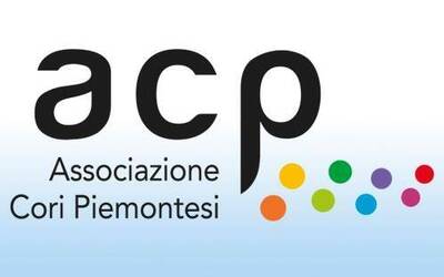 Immagine: banner cori piemontesi