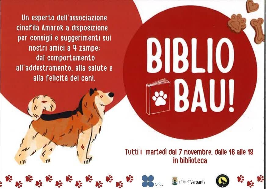 Immagine: biblio bau