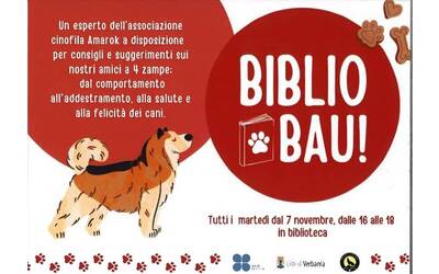 Immagine: biblio bau
