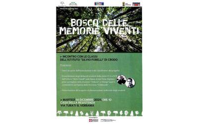 Immagine: bosco delle memorie viventi