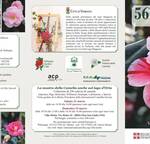 Immagine: CAMELIA PRIMAVERILE 2024 BROCHURE