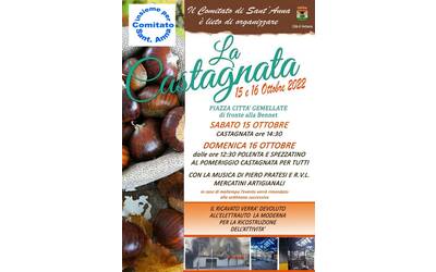 Immagine: Castagnata 15 e 16 ottobre Insieme per S.Anna