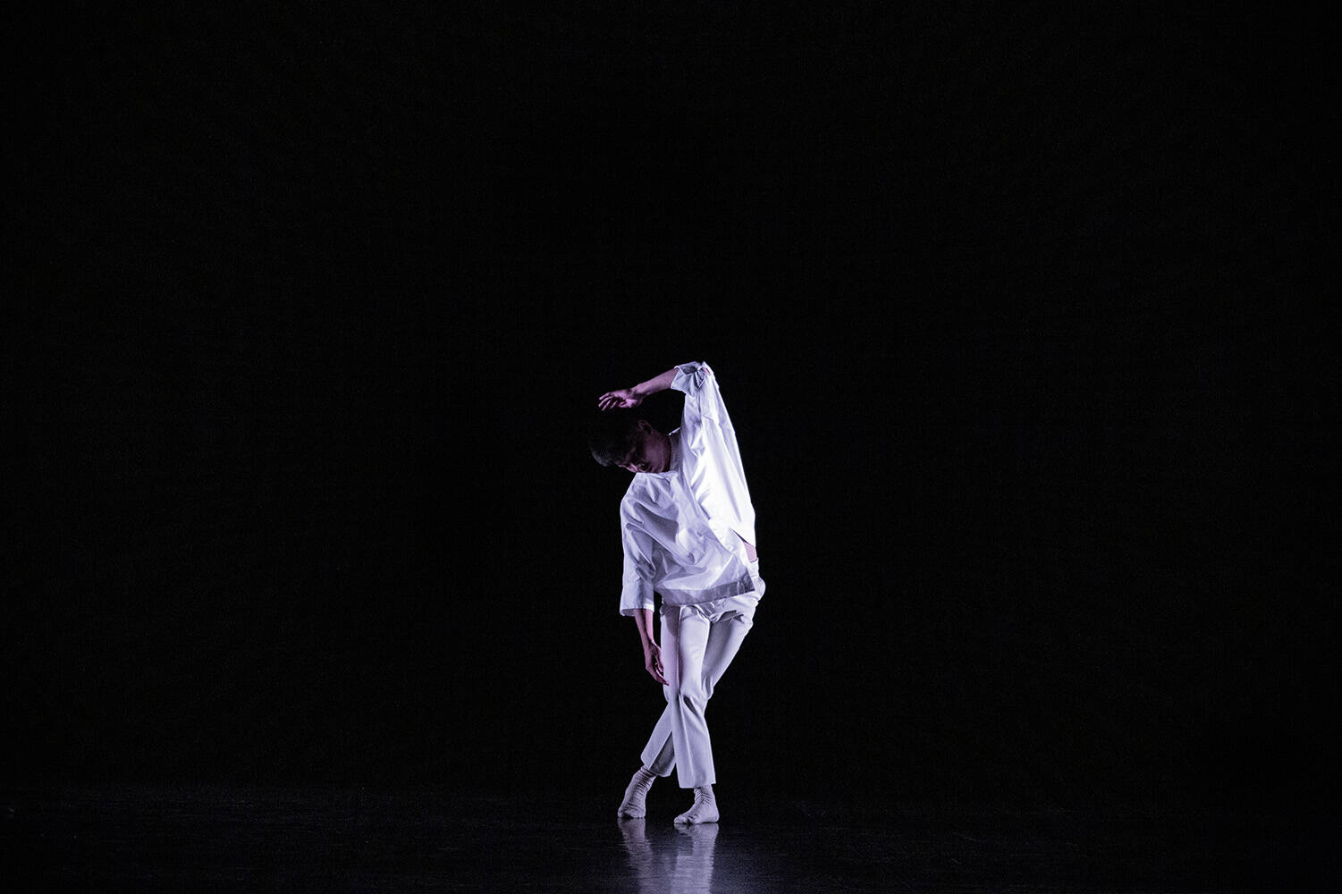 Immagine: ChaoShengHO_bassa