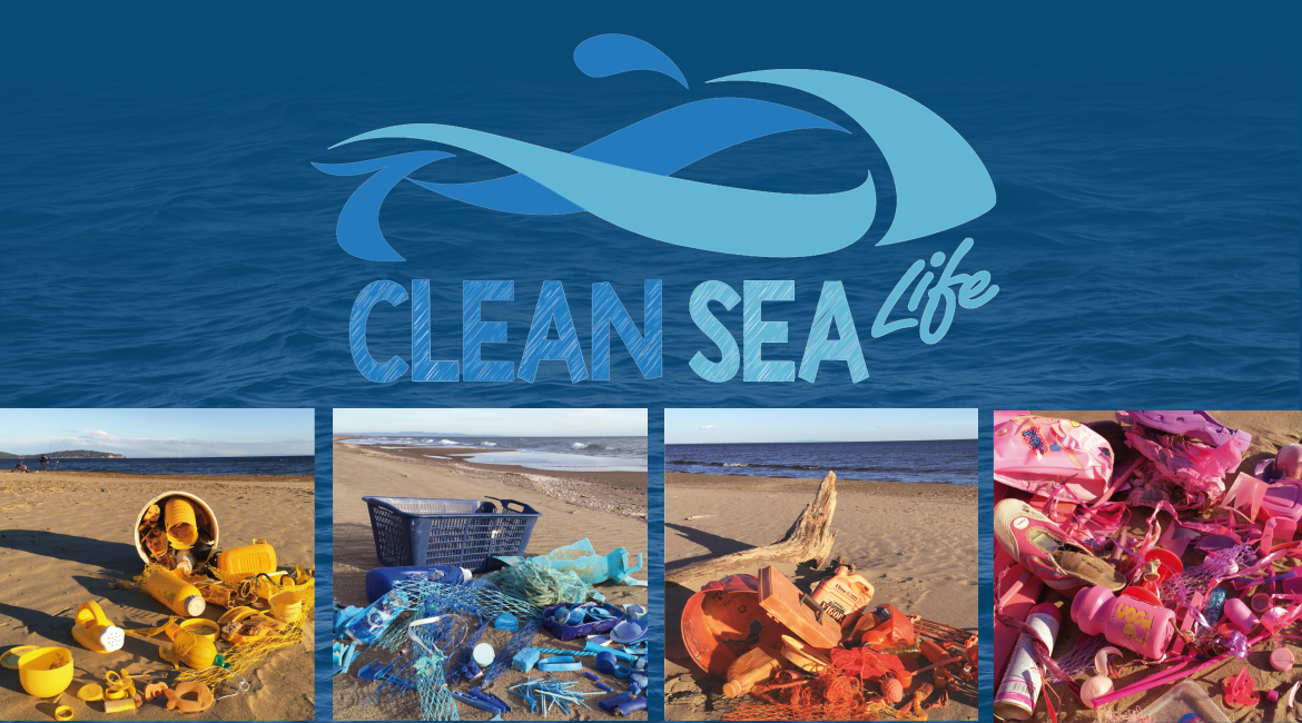 Immagine: Clean-Sea-Life_reference