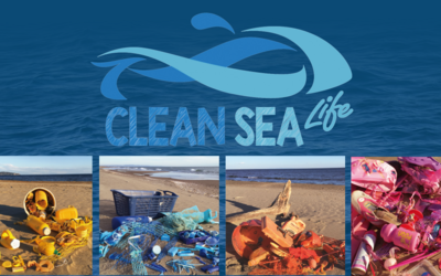 Immagine: Clean-Sea-Life_reference