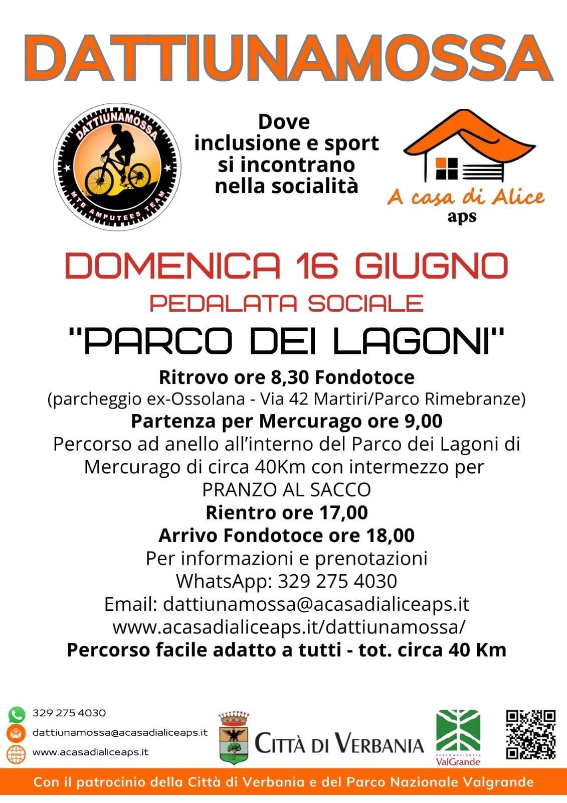 Immagine: Dattiunamossa 16 06 24