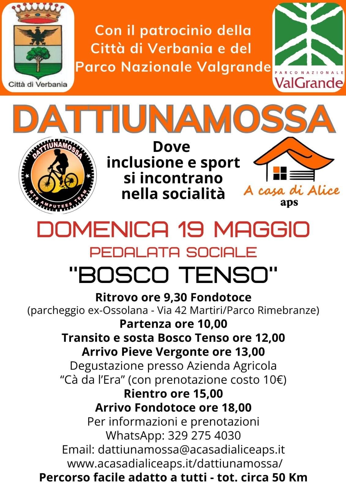 Immagine: Dattiunamossa 19 05 24