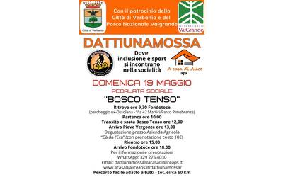 Immagine: Dattiunamossa 19 05 24