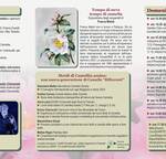 Immagine: Depliant Camelia Invernale 2022 web_page-0002
