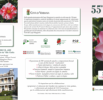 Immagine: depliant camelia primaverile front