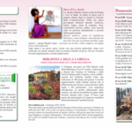 Immagine: depliant camelia primaverile retro