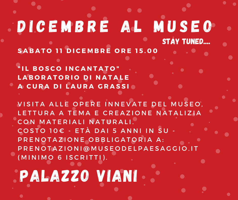 Immagine: Dicembre al Museo