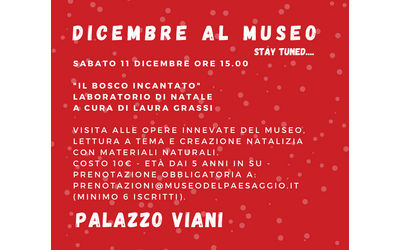 Immagine: Dicembre al Museo