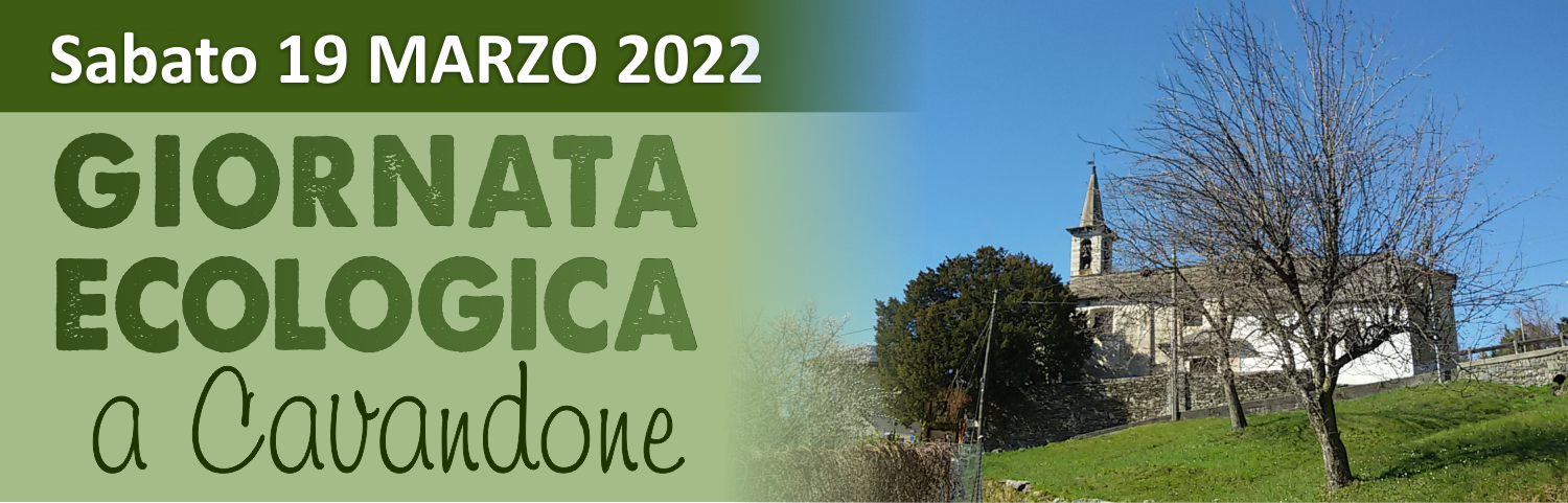 Immagine: giornata ecologica 19 marzo banner