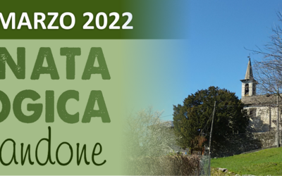 Immagine: giornata ecologica 19 marzo banner