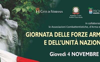 Immagine: giornata forze armate
