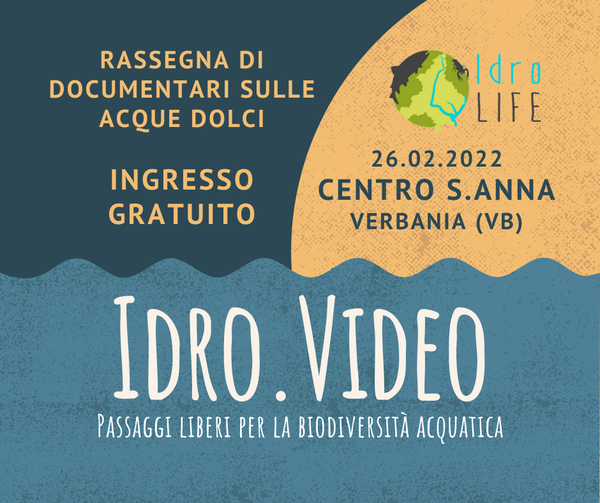 Immagine: Idro video
