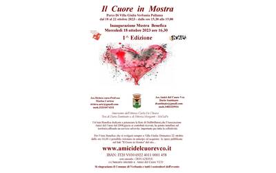 Immagine: Il cuore in mostra