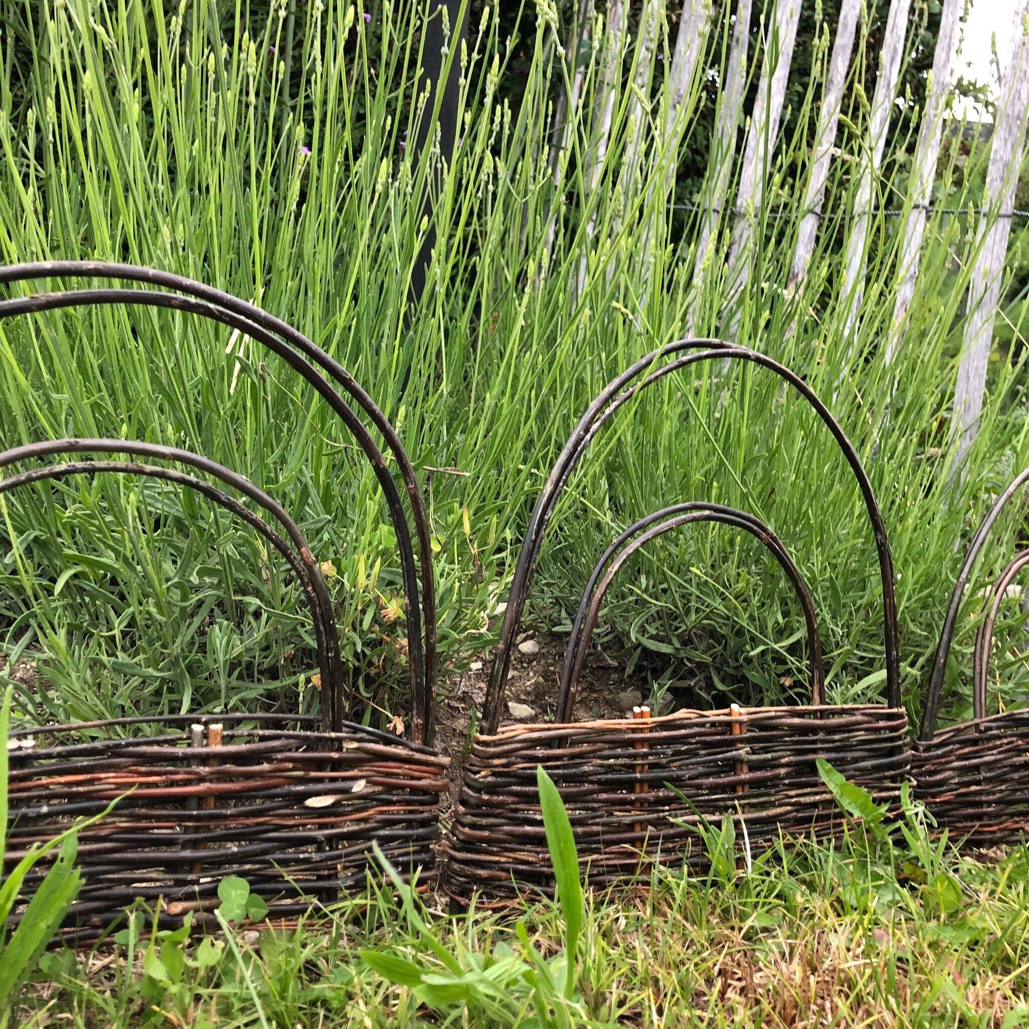 Immagine: intrecci giardino aprile 22