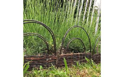 Immagine: intrecci giardino aprile 22