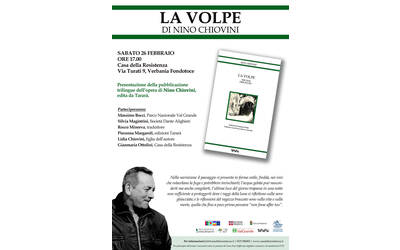 Immagine: La volpe