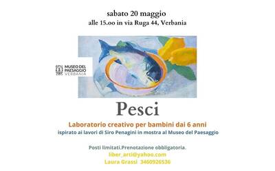 Immagine: Laboratorio Pesci 20 05 23