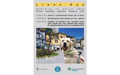 Immagine: Lions Day