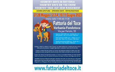 Immagine: locandina a3 country days (1)_page-0001