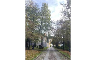 Immagine: Madonna di Campagna
