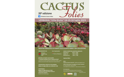 Immagine: manifesto cactus