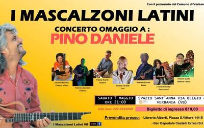 Immagine: mascalzoni latini