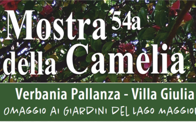 Immagine: mostra camelia eventi 1503x480
