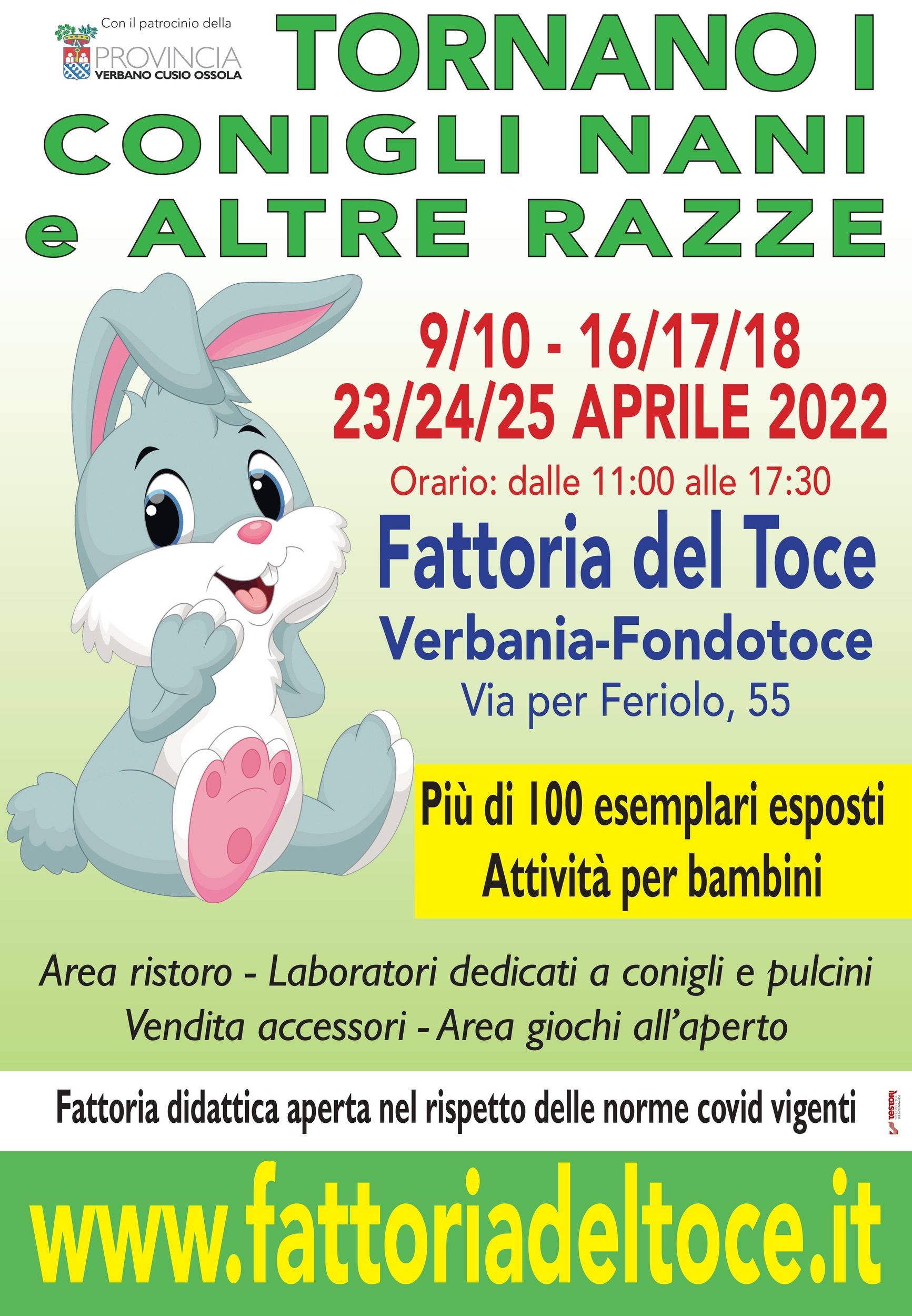 Immagine: mostra conigli nani manifesto 2022_page-0001 (1)