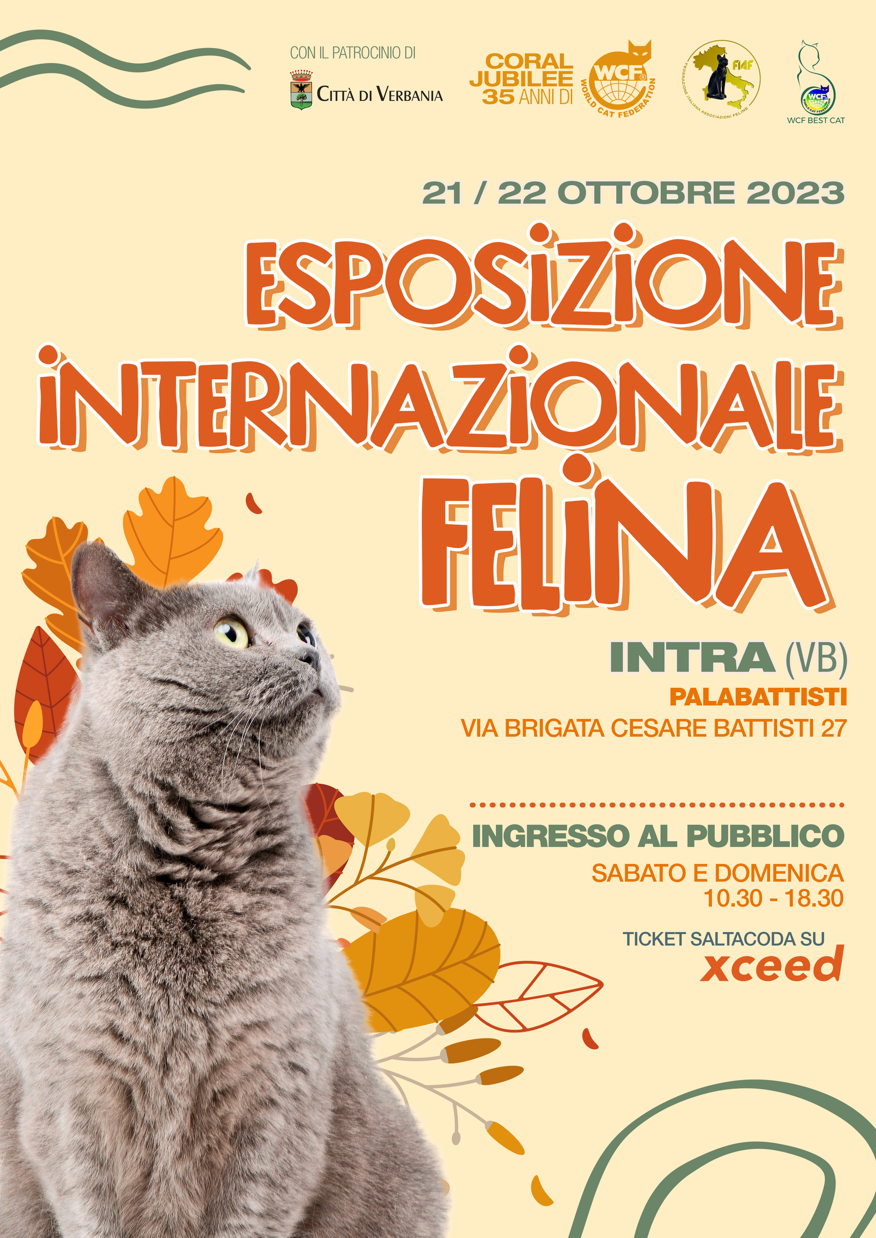 Immagine: MOSTRA FELINA 21 22 OTTOBRE 2023