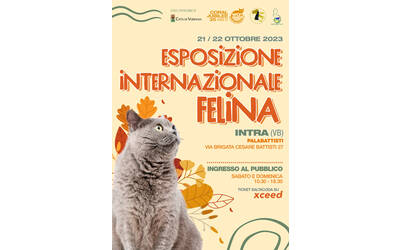 Immagine: MOSTRA FELINA 21 22 OTTOBRE 2023