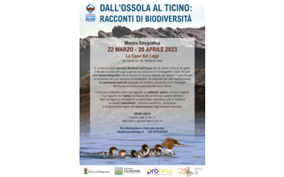 Immagine: mostra fotografica ossola ticino
