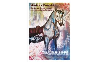 Immagine: Mostra Maconi