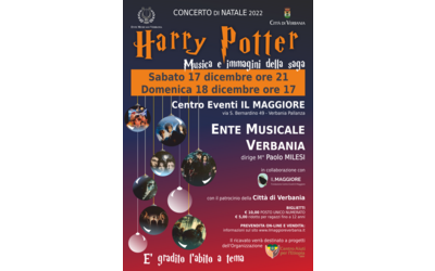 Immagine: Natale 2022 concerto Harry Potter