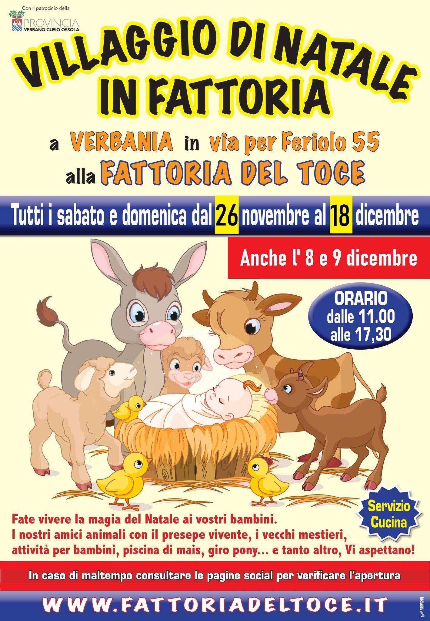 Immagine: Natale in Fattoria 2022