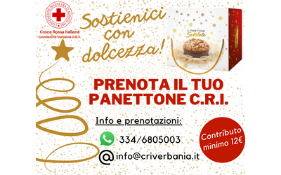 Immagine: Panettone solidale