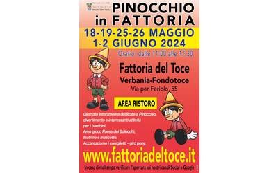 Immagine: PInocchio in Fattoria 2024