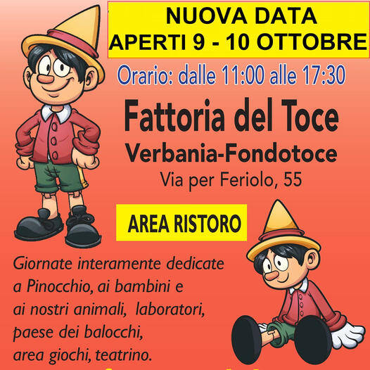 Immagine: pinocchio in fattoria 9 10